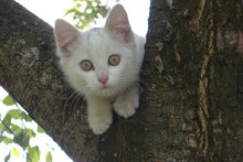 А чё это вы тут делаете, а?