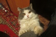 Пошли паять животное, я прогрел!!!