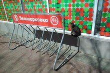 Ну где же вы двухколёсные?