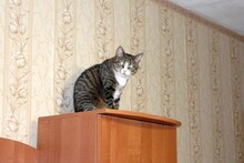 Мне сверху видно все,ты так и знай!