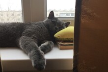 Еще один неплохой снимок