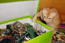 Что за беспорядок тут у человеков??
