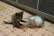 Я в домике!