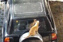 Ще купуваме автомобил.