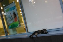 Клиент