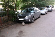 ...Kia всё таки лучше!!!!
