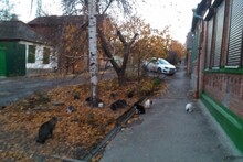 Столовая