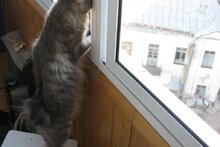 Эх! чуть чуть бы голова поменьше.
