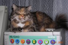 Правильный принтер.