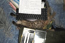 Про неполадки одного устройства.