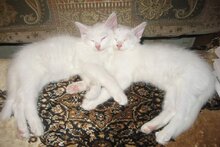 Автор слишком ленив, чтобы давать описание