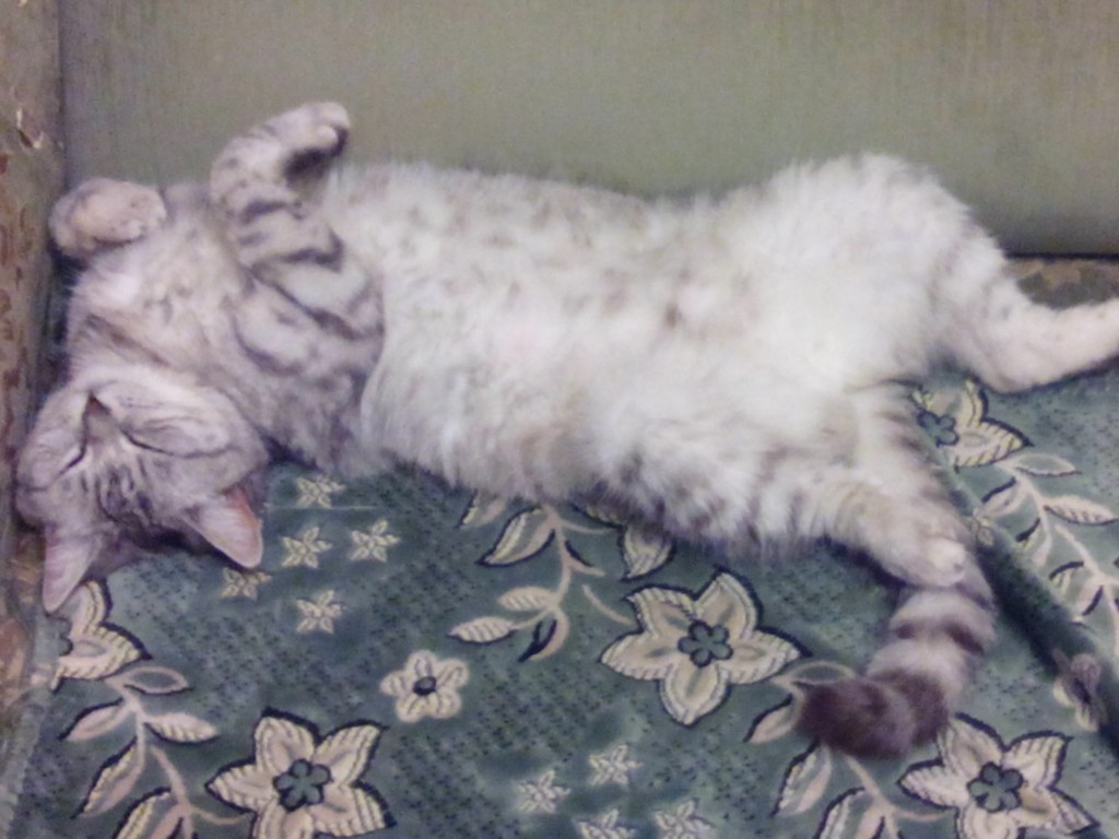 Место и участники те-же...Хорошо работать Место и участники те-же...Хорошо работать