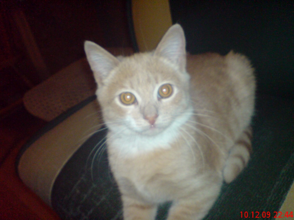 Автор слишком ленив, чтобы давать описание