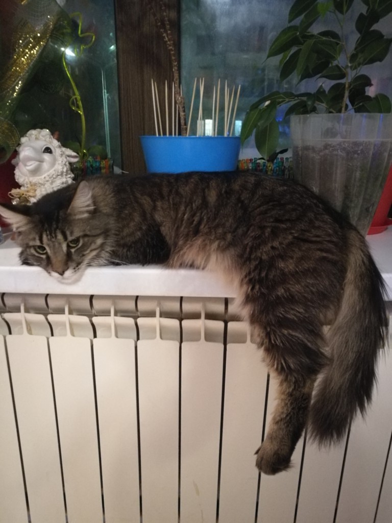 В ожидании нового года :) В ожидании нового года :)