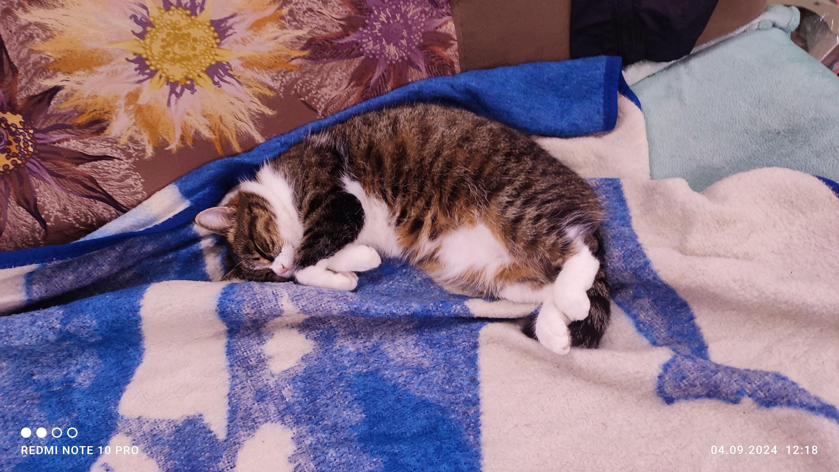 Автор слишком ленив, чтобы давать описание