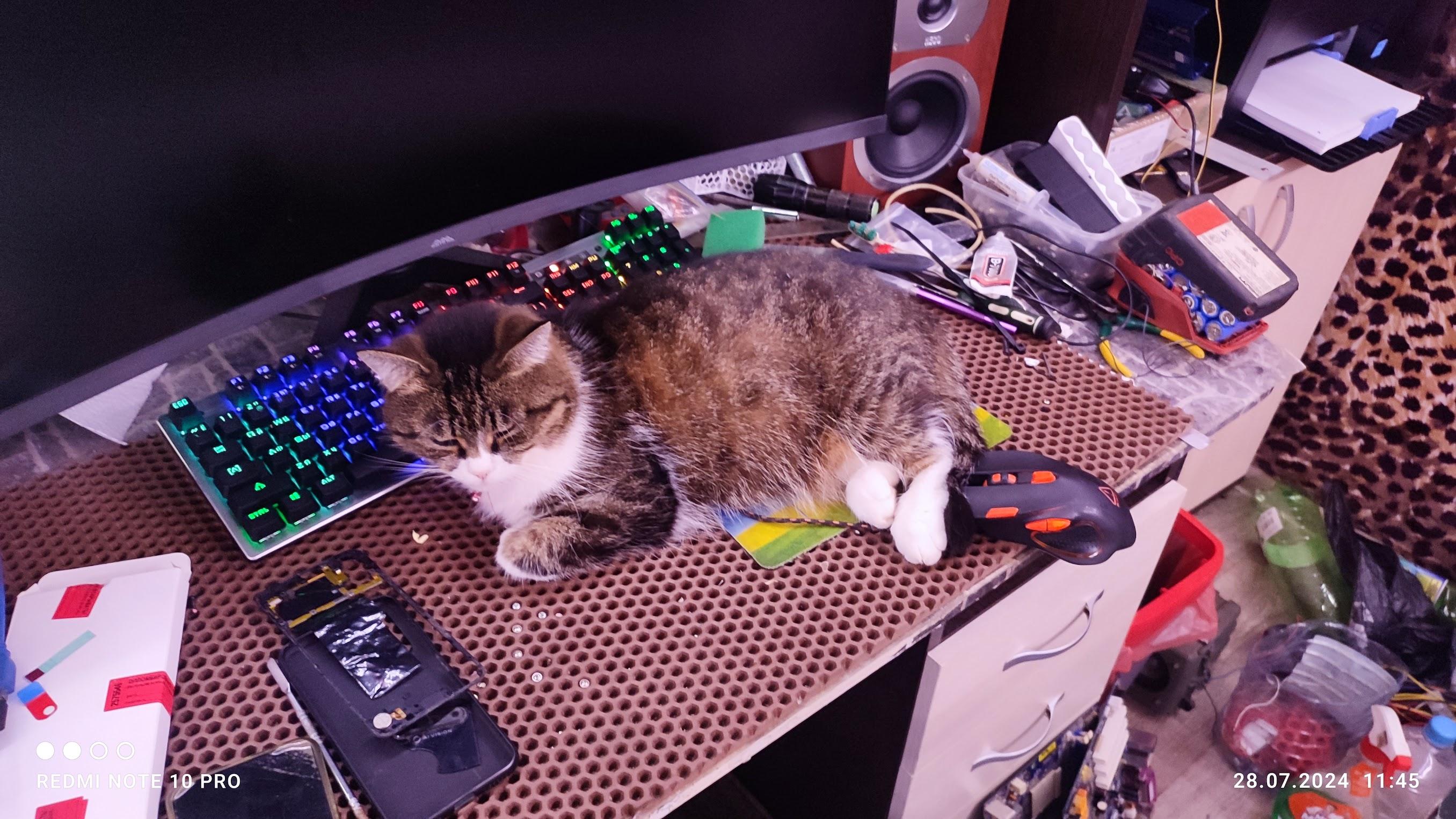 Фото ленивого автора