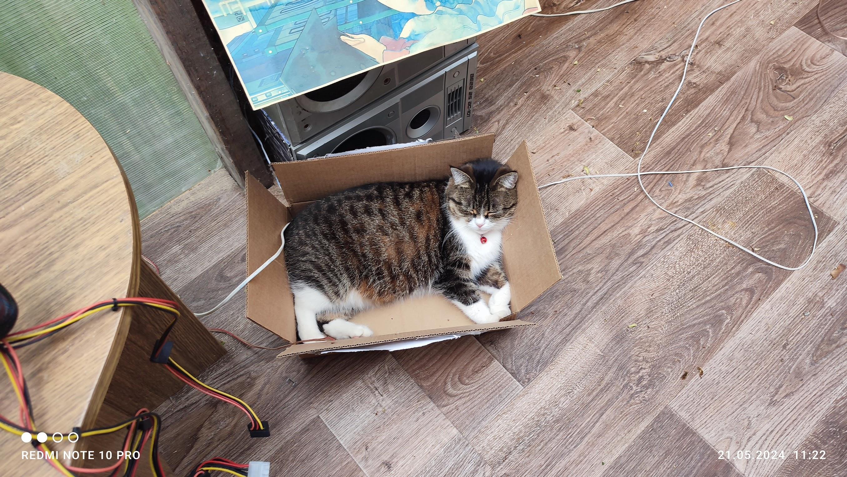 Фото ленивого автора