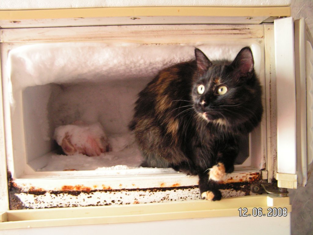 В Севастополе? В июне? Прохладно!