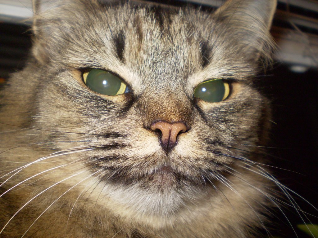 Серьёзная мадам...)