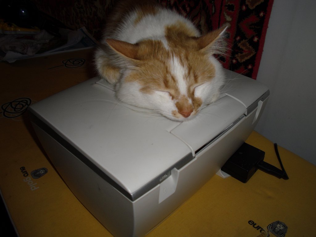 Не вовремя закончился катридж.....