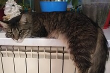 В ожидании нового года :)