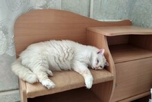 Я сегодня на банкетке целый день пролежал и я устал... я устал...