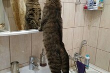 Кроссавчег!!!