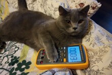 Теперь сплю с ним