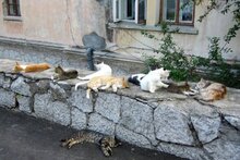 Зарплату ждут
