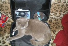 Ноут "Котасус" самораспаковывающийся!