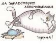 Аватара пользователя