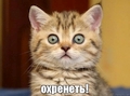 Аватар пользователя